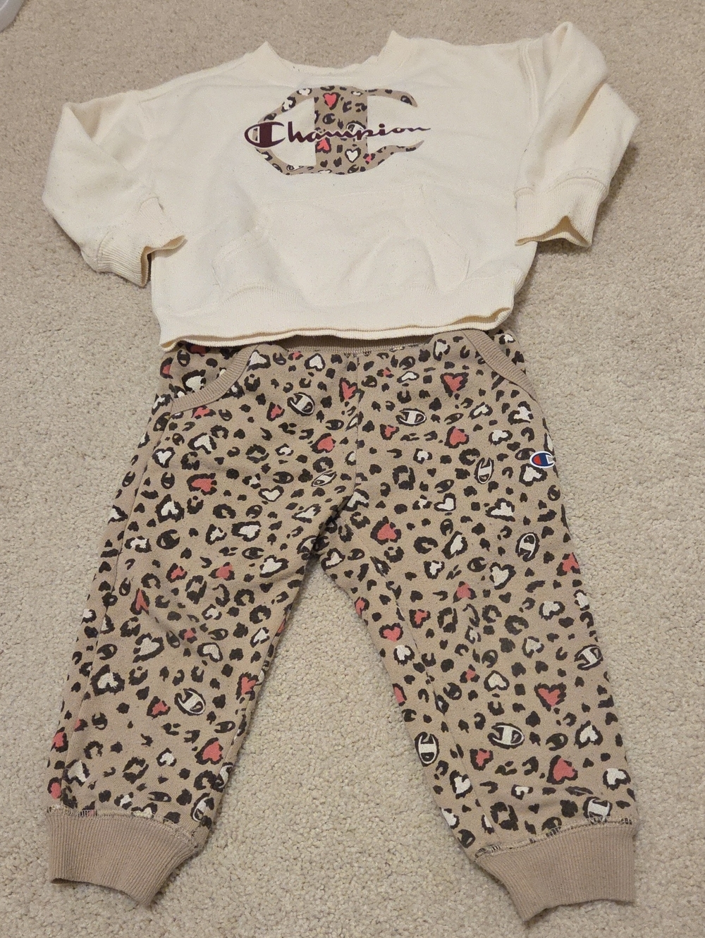 2T Champion Sweatshirt And Jogger Set